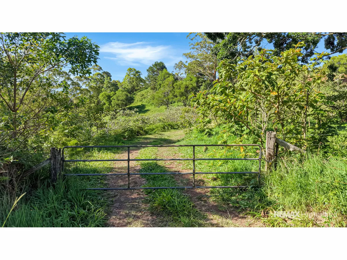 Additional image 16 of 161-273 Gap Road, Booroobin QLD 4552