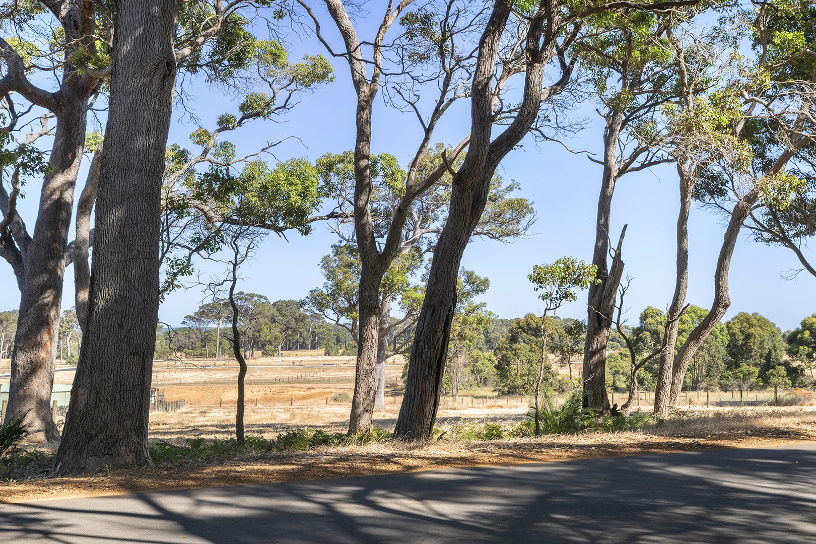 Additional image 8 of 374 Kudardup Road, Kudardup WA 6290