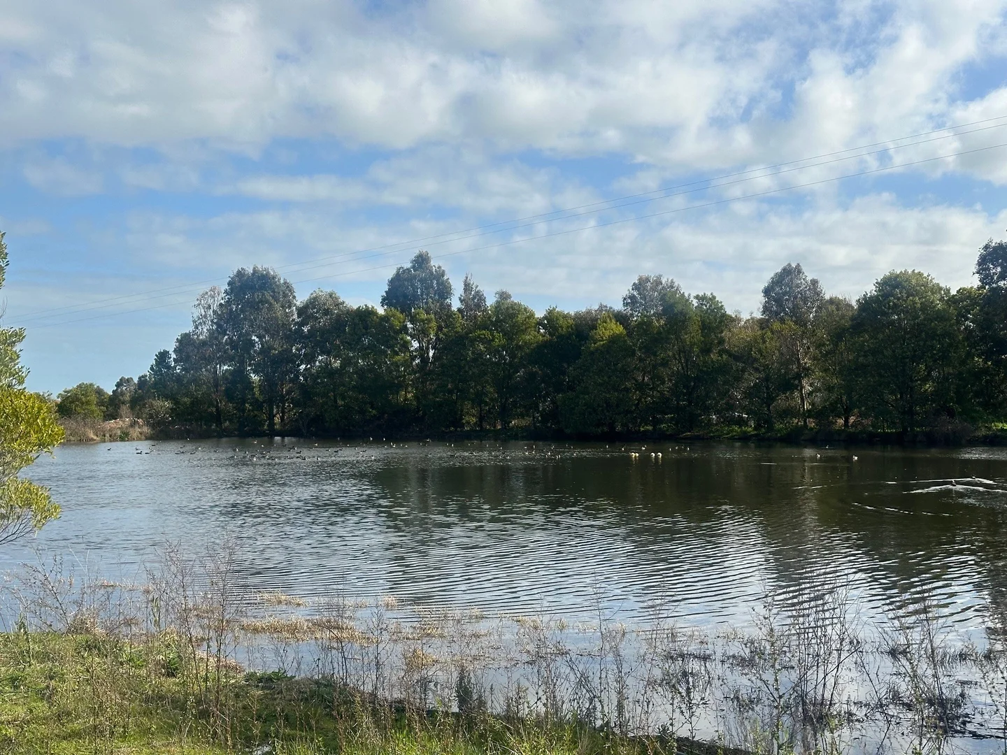 Additional image 26 of 765 Korumburra South Road, Korumburra South VIC 3950