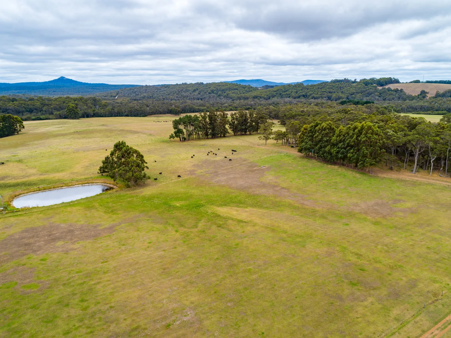 Additional image 3 of 13070, Lot 13070 bridge road, North Walpole WA 6398