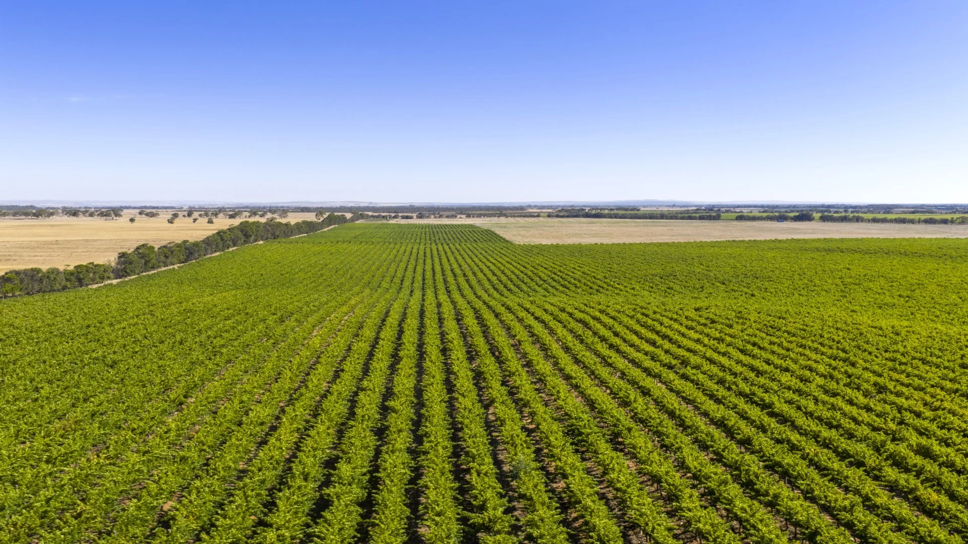 Additional image 5 of 261 Marandoo Road, Langhorne Creek SA 5255