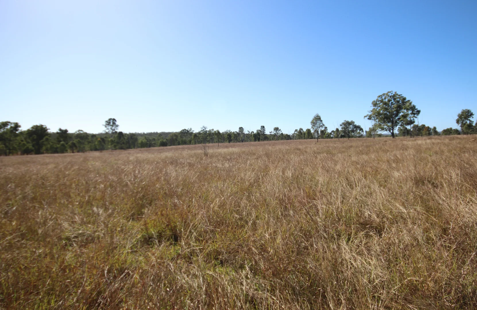Additional image 5 of 8 Screening Plant Road, Cynthia, Eidsvold QLD 4627