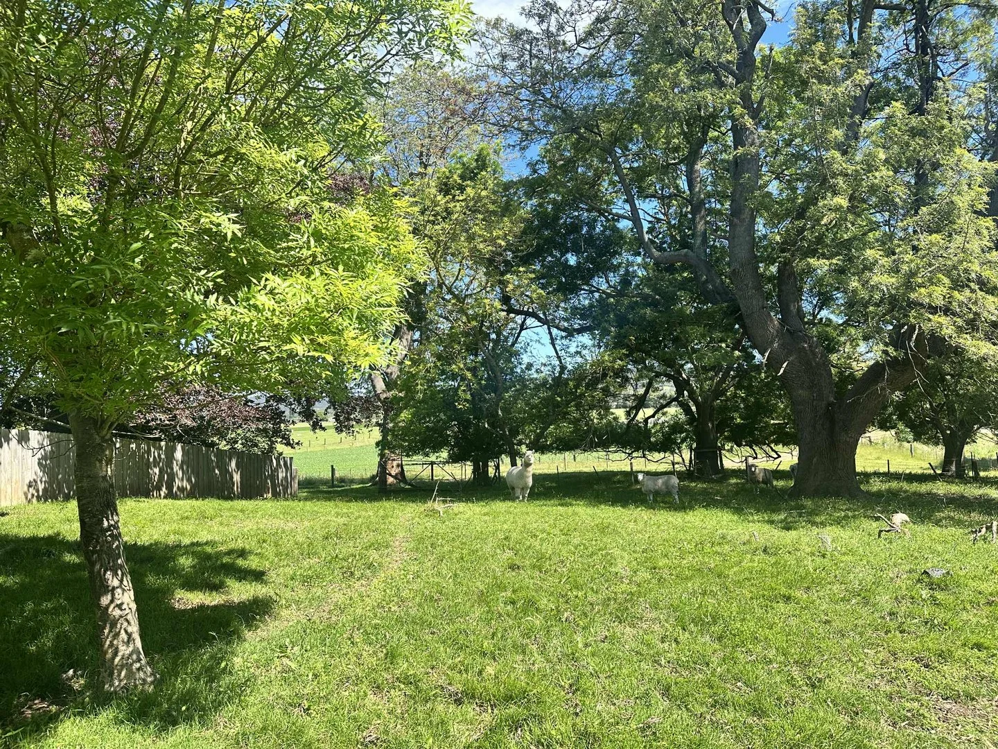 Additional image 2 of 46 Bruthen-Nowa Nowa Road, Bruthen VIC 3885