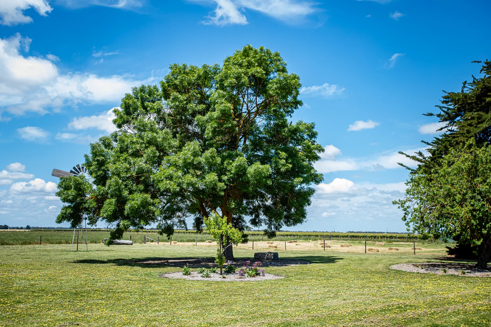 Additional image 39 of 370 Geraghty Rd, Coonawarra SA 5263