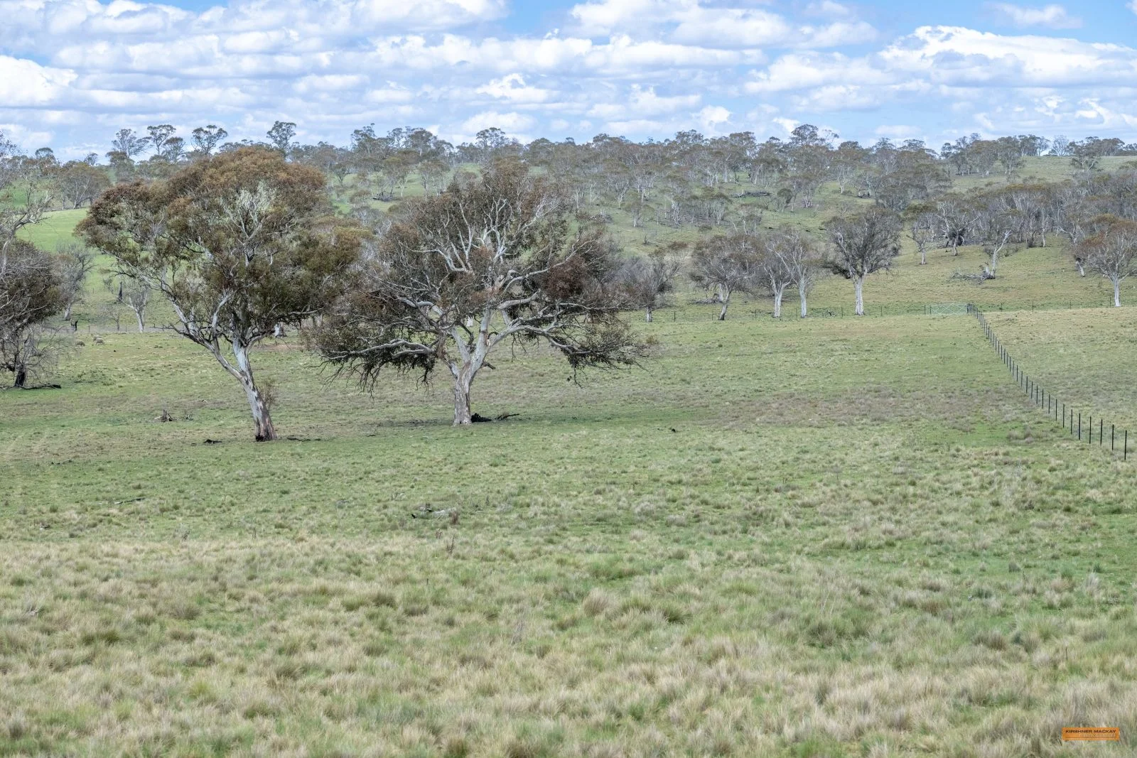 Additional image 15 of Lot 6 Avonside Road, Avonside NSW 2628