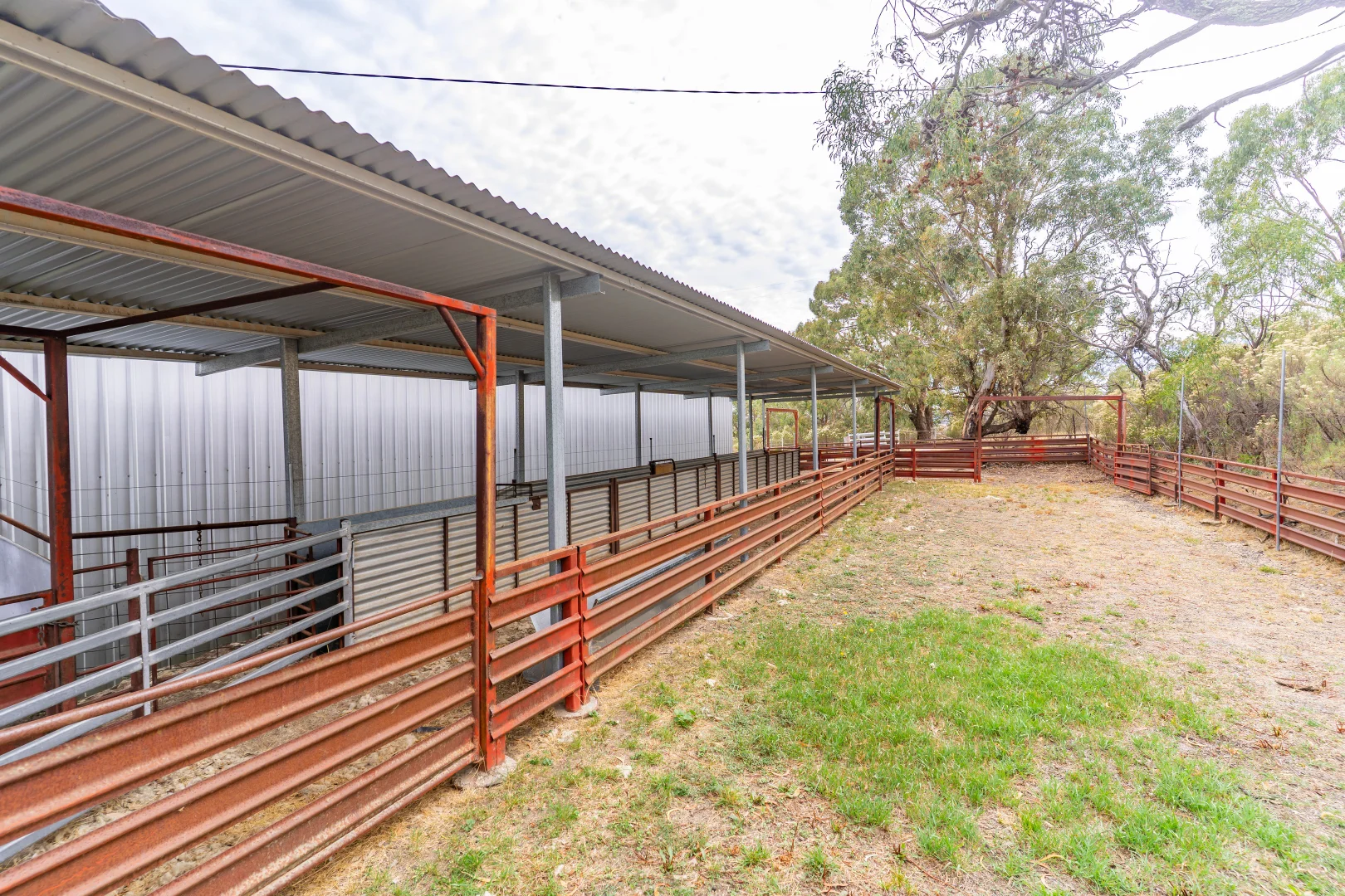 Additional image 28 of 246 Clements Road, Woodstock NSW 2793