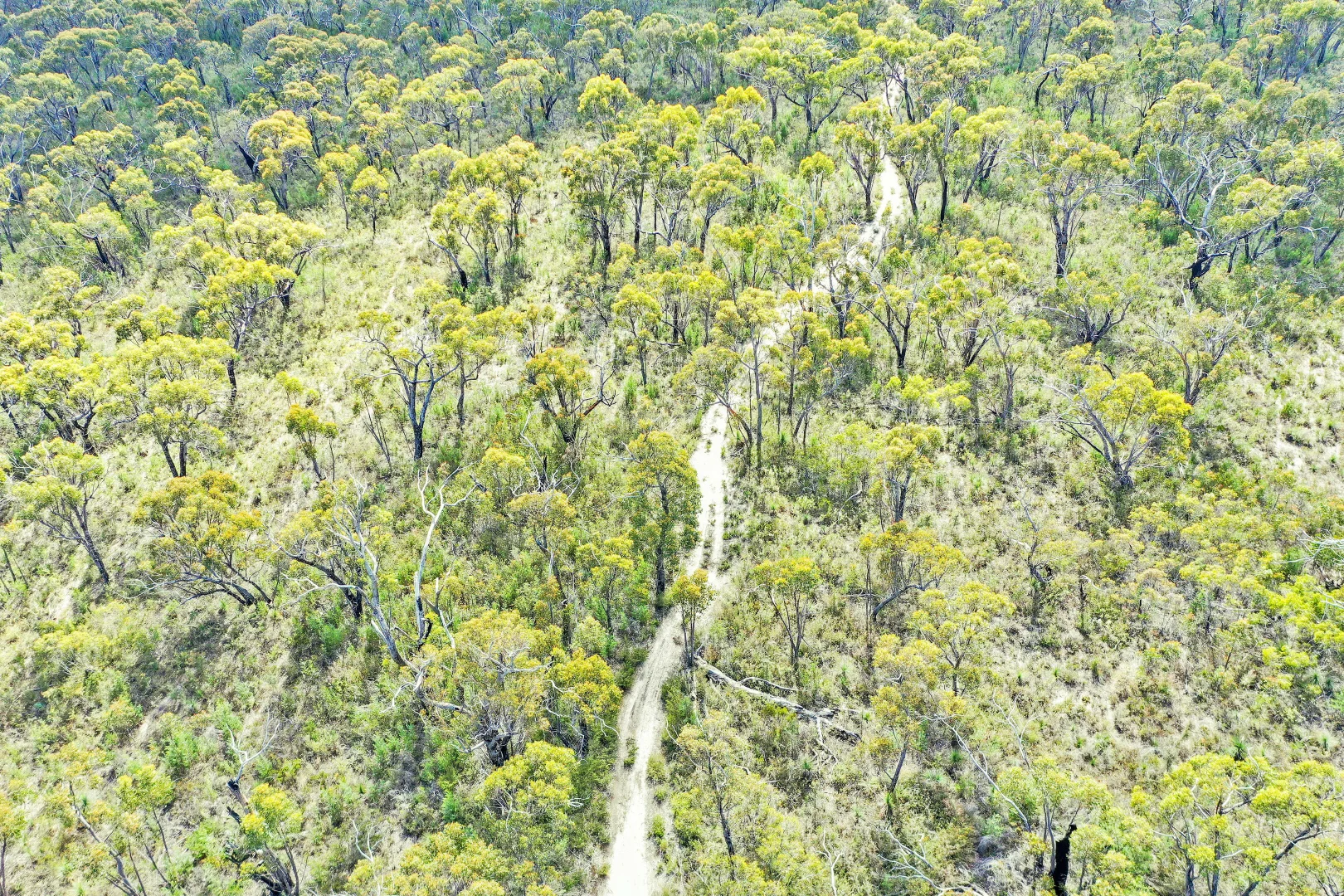 Additional image 5 of LOT 273 Mt Zero Road, Halls Gap VIC 3381