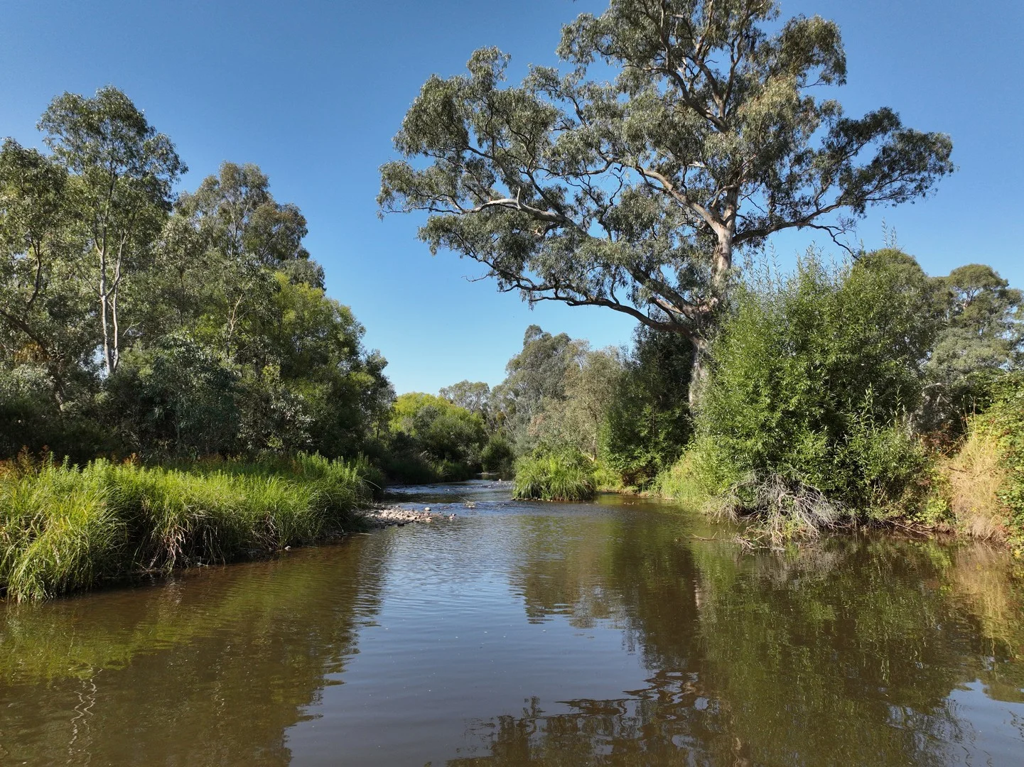 210 Walshs Road, Goughs Bay VIC 3723