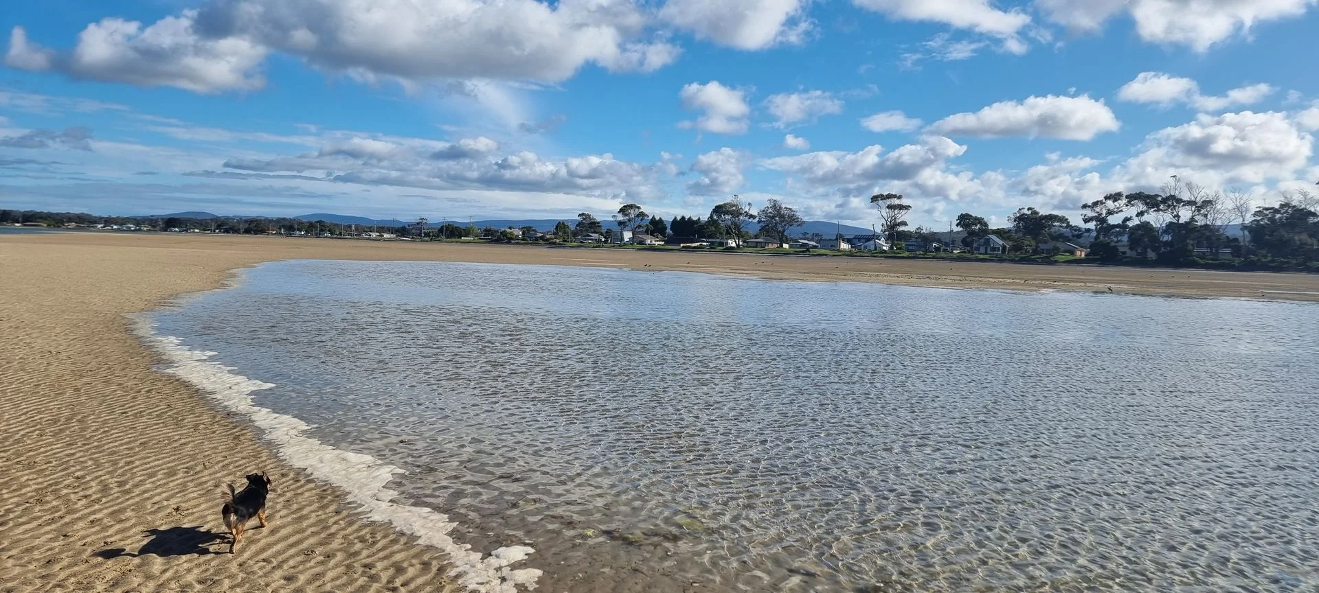 Additional image 10 of 131 Foreshore Road, Kelso TAS 7270