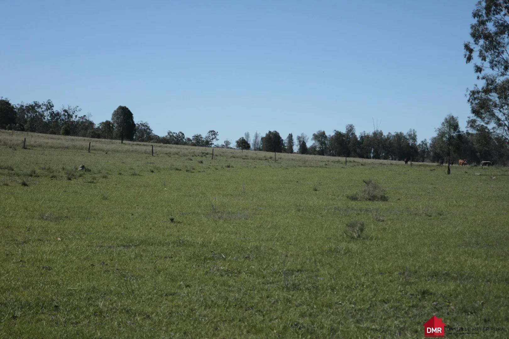 Additional image 15 of 25731 Burnett Highway, Cynthia QLD 4627