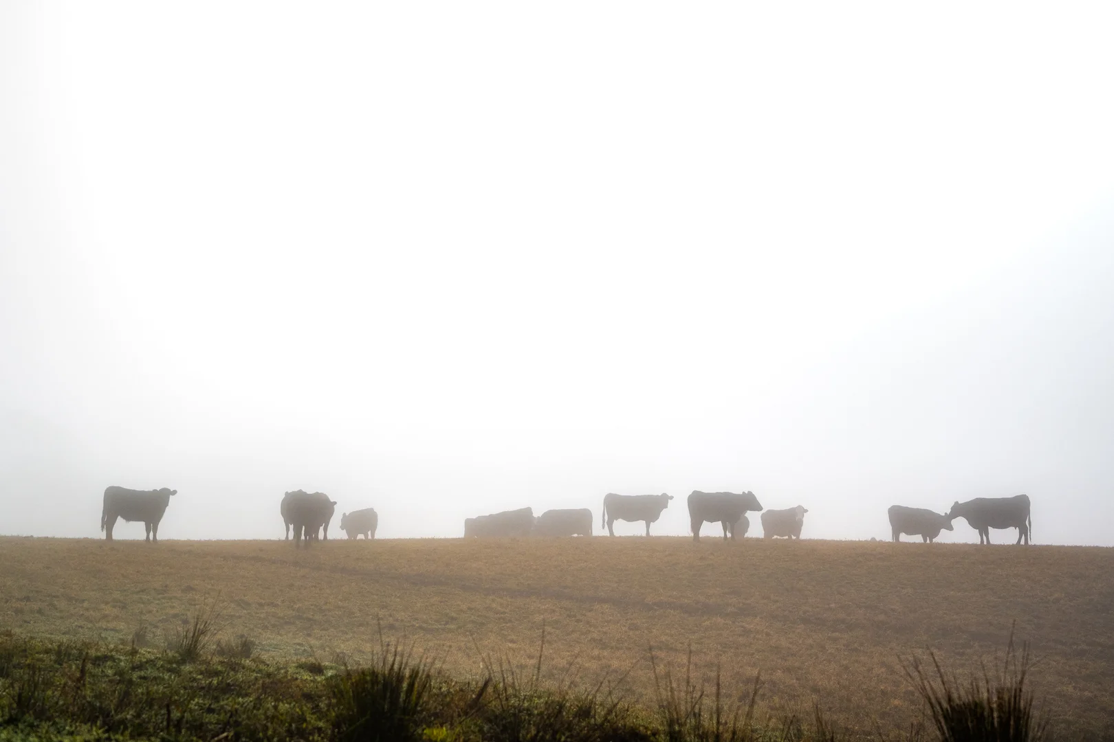 Additional image 37 of Bunkers Hill Road, Barrengarry NSW 2577