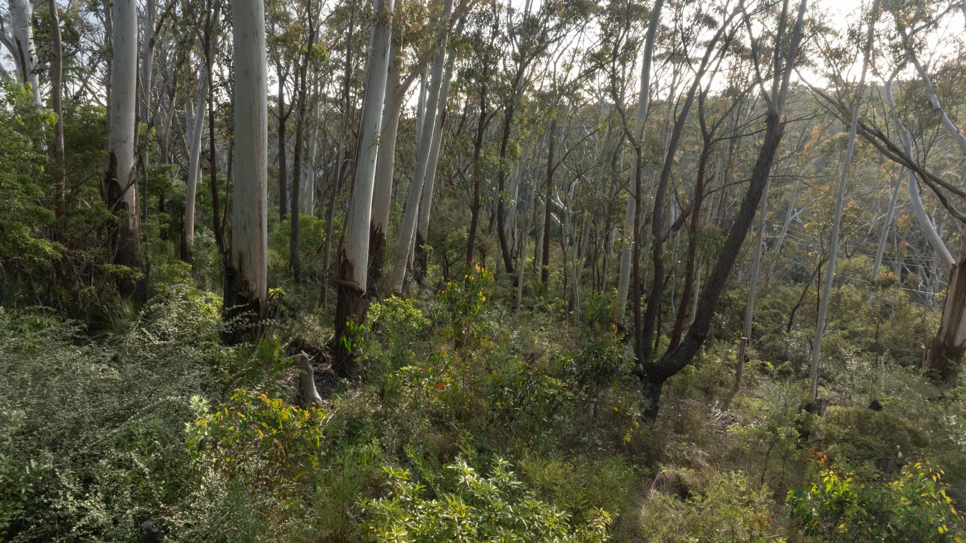 Additional image 2 of 6 Alma Lane, Katoomba NSW 2780
