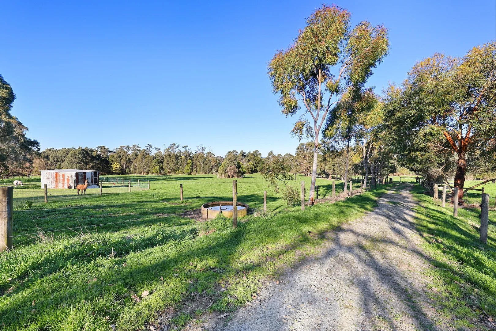 Additional image 22 of 70 Invermay Road West, Ripplebrook VIC 3818