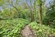 Additional image 24 of Madeira Road, Ventnor, Isle of Wight, PO38