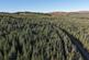 Additional image 7 of Kirnan Wood, Near Lochgilphead, Argyll & Bute  PA31