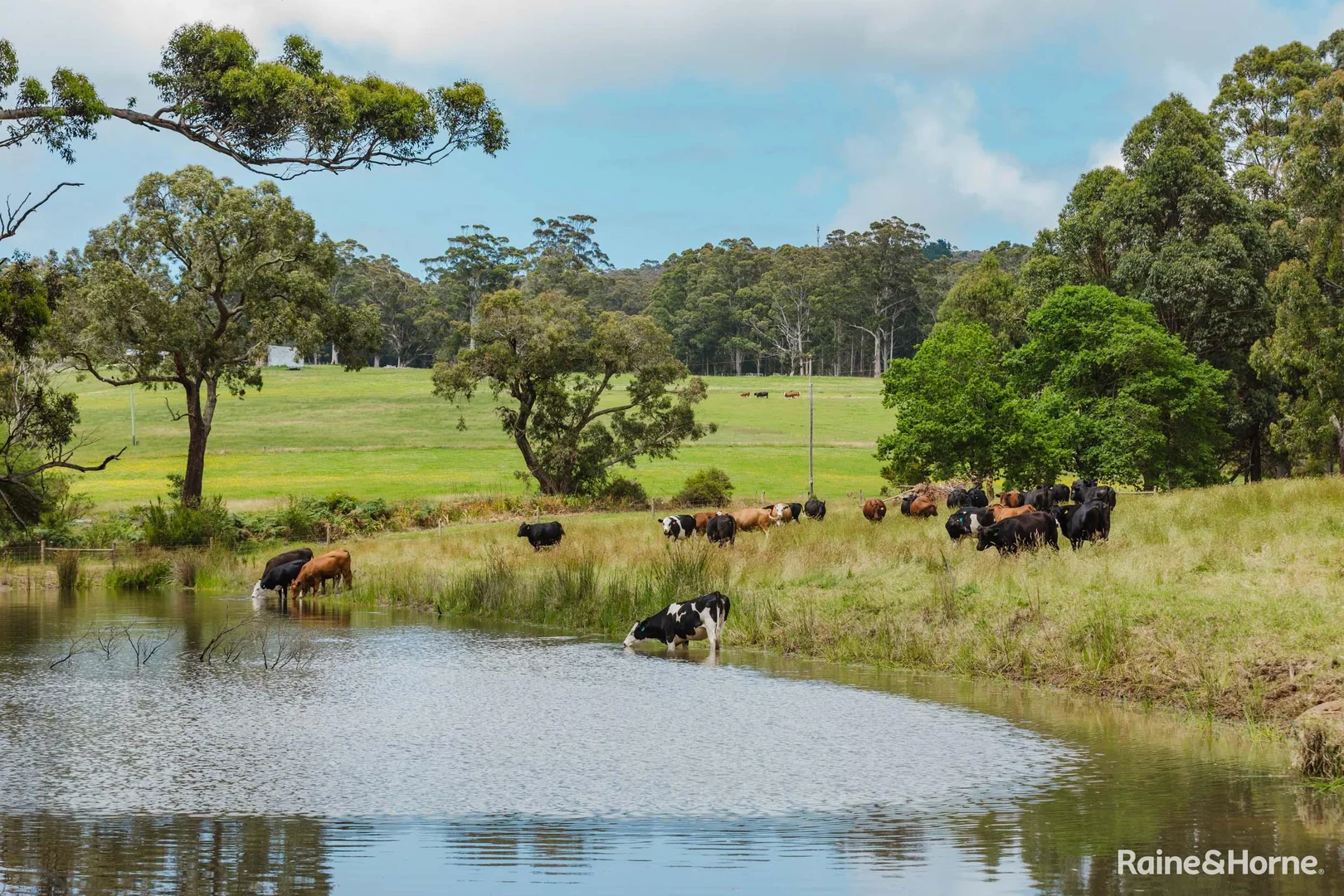 Additional image 2 of 198 Glenrowan Road, Scotsdale WA 6333
