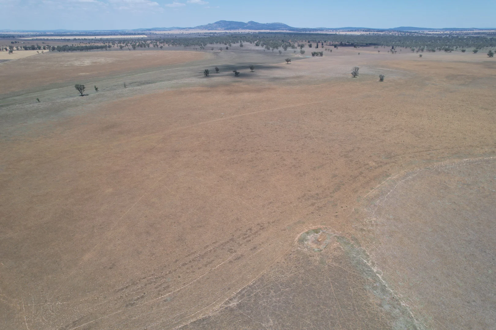 Additional image 6 of 94 Gullifers Road, Forbes NSW 2871