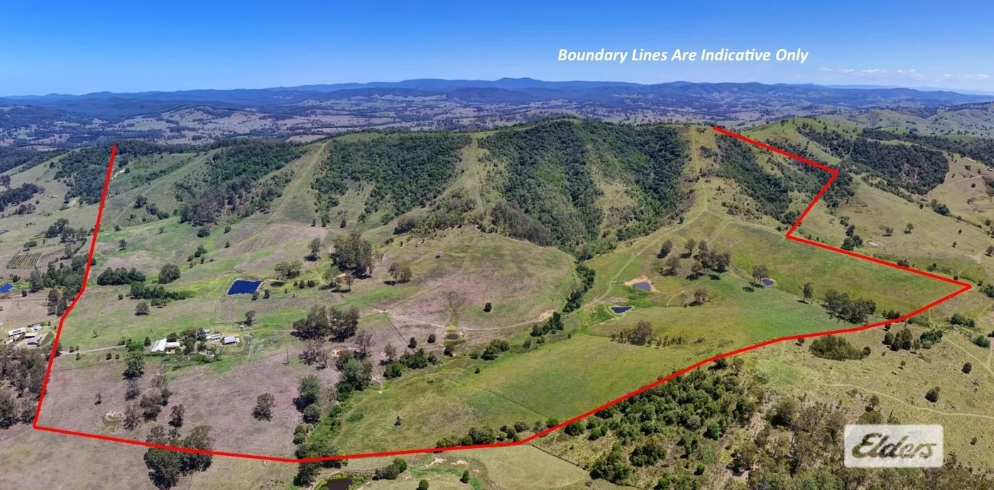 97 Stevens Close, Wang Wauk NSW 2423