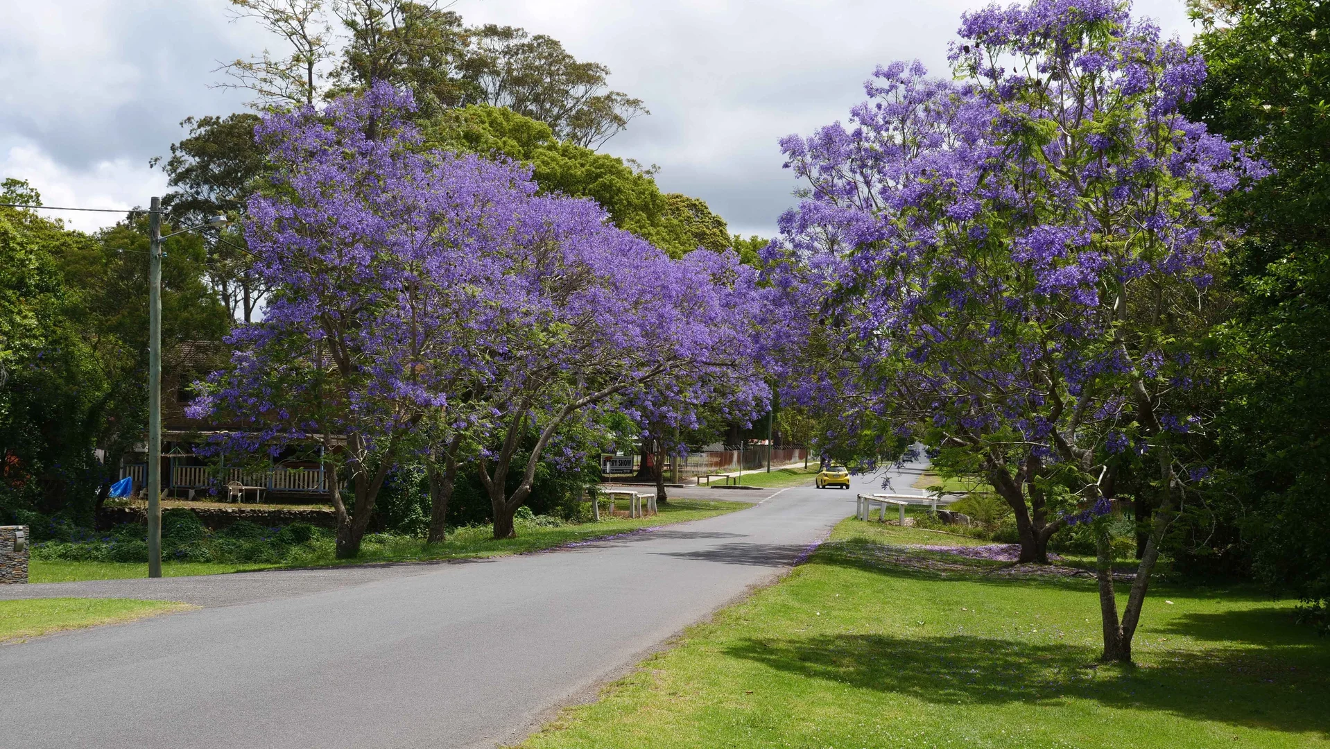 Additional image 19 of Red Cedar Road, Meroo Meadow NSW 2540