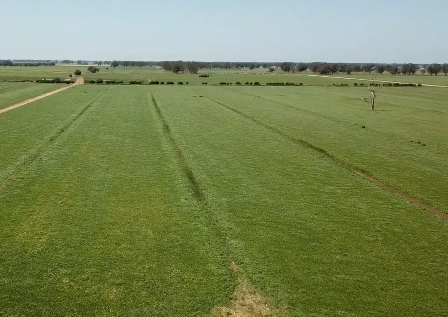 Additional image 11 of 462 Hays Road, Katunga VIC 3640