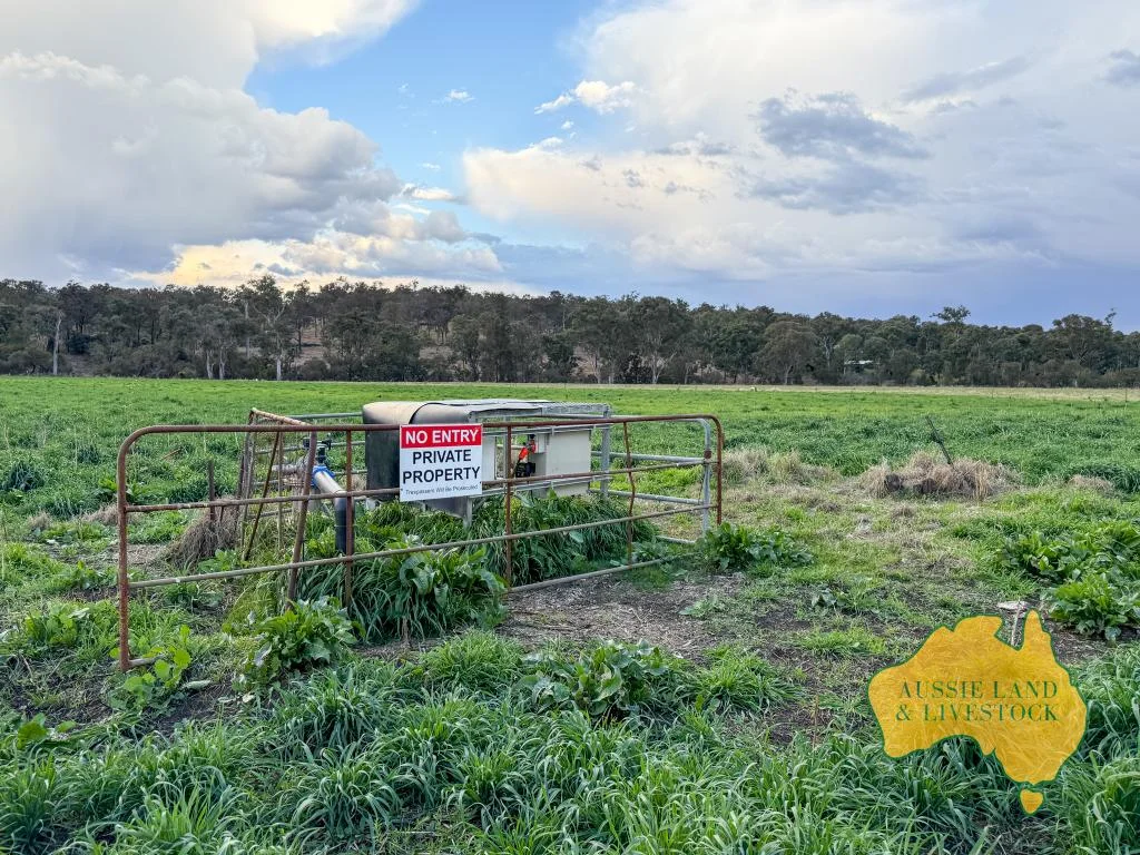 Additional image 51 of 250 Heights Road, Nanango QLD 4615