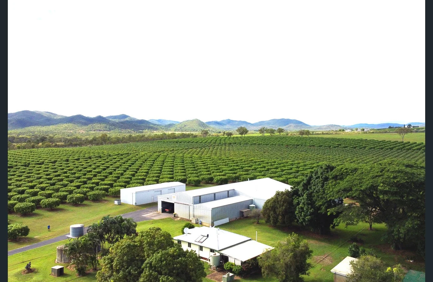 Additional image 10 of 85 Schincariol Road, Dimbulah QLD 4872