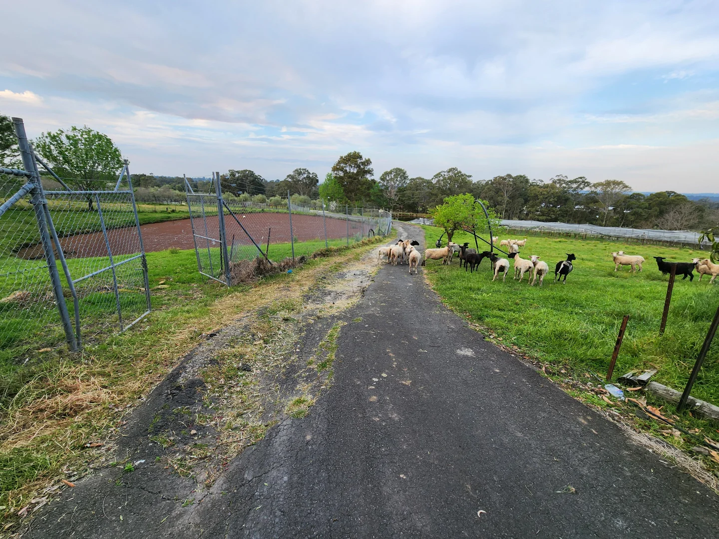 Additional image 39 of 100 Eltons Road, Silverdale NSW 2752