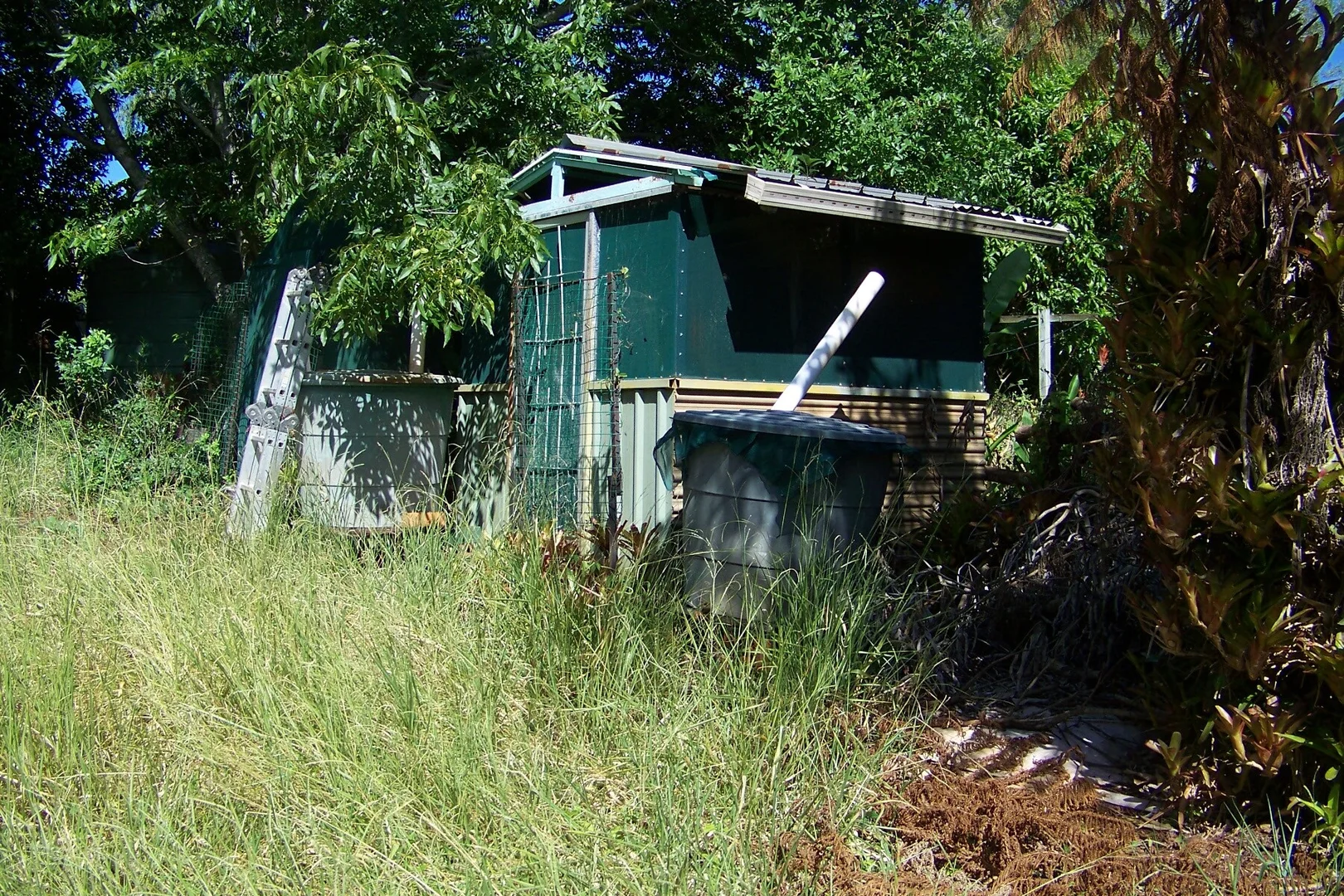 Additional image 9 of 29 Pine Avenue, Lamb Island QLD 4184