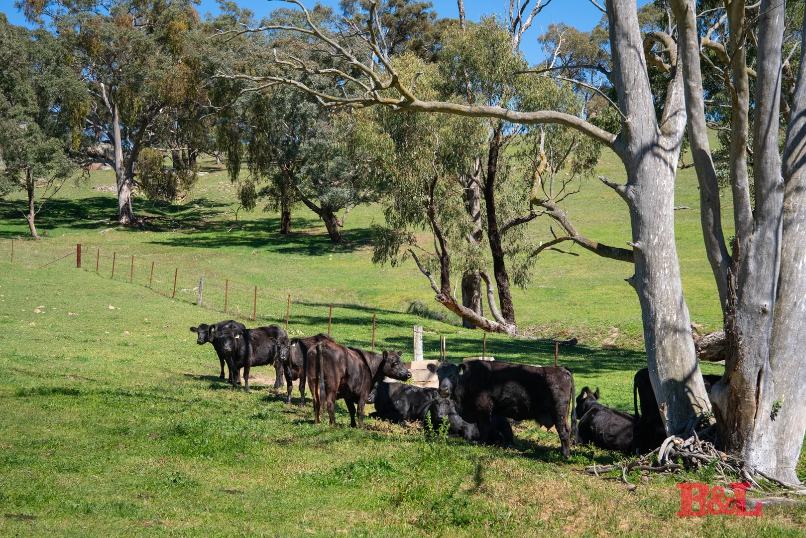 Additional image 25 of 1977 Tarana Road, Gemalla NSW 2795