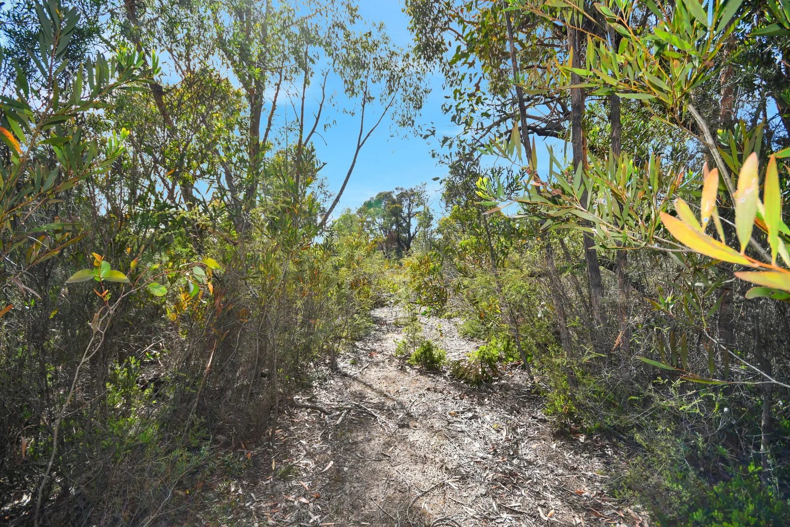 Additional image 4 of LOT 273 Mt Zero Road, Halls Gap VIC 3381