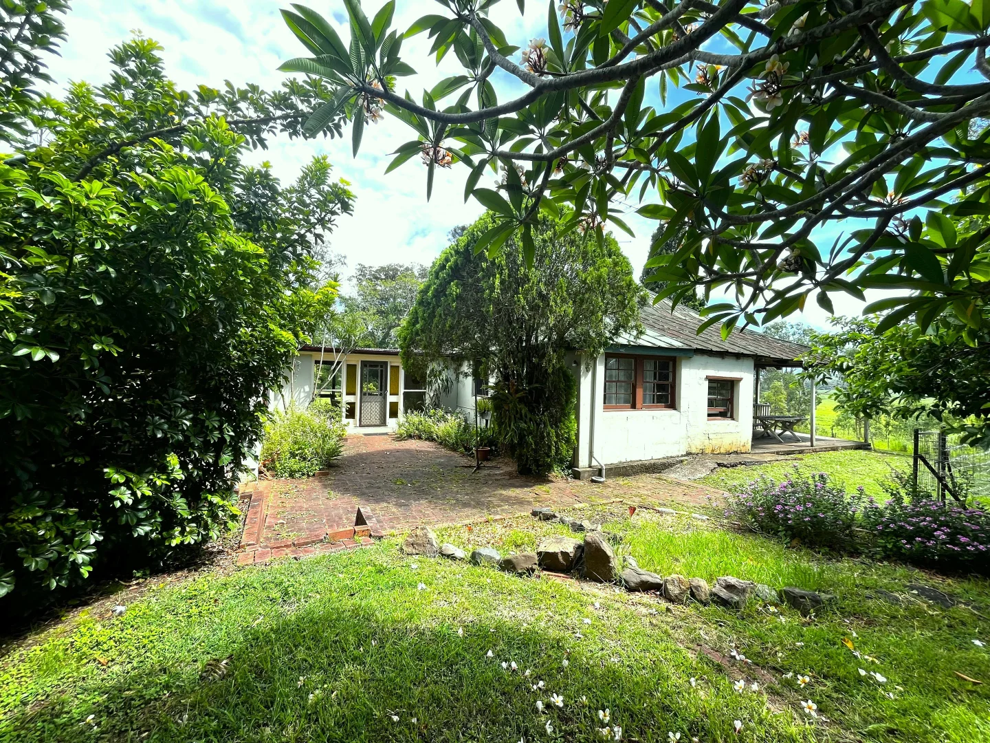 Additional image 36 of 124 Homestead Road, Kilgra NSW 2474