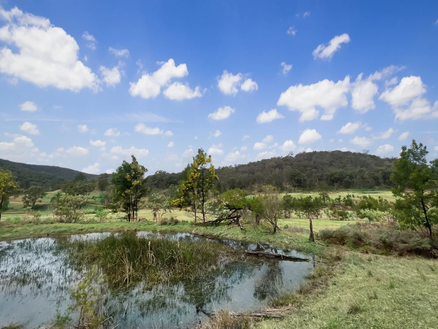 Additional image 14 of Parcel A Hitcham Park Dairy Arm Road, Laguna NSW 2325