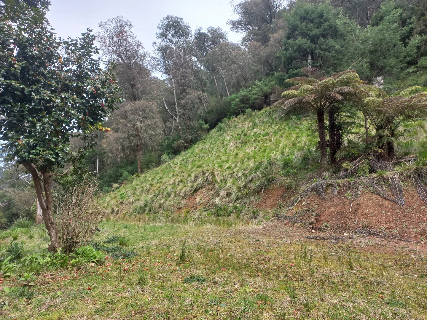 Additional image 2 of 181 Main Road, Walhalla VIC 3825