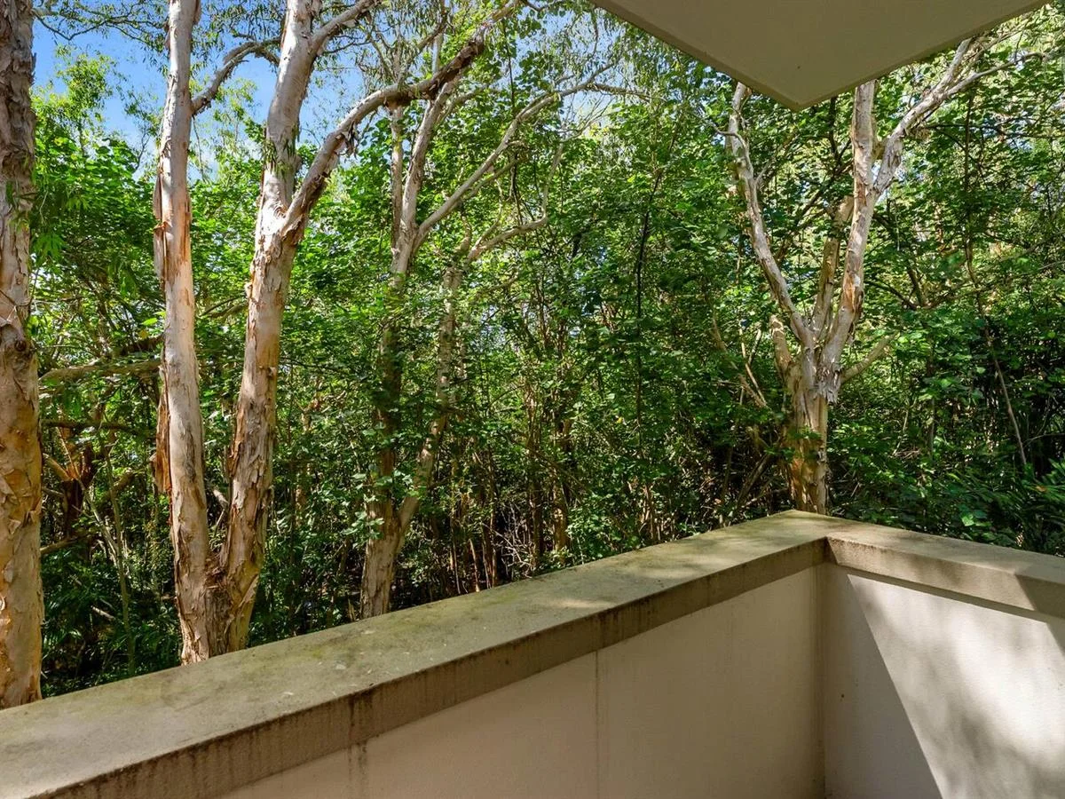 Additional image 17 of 134-135/5 Triton Street, Palm Cove QLD 4879