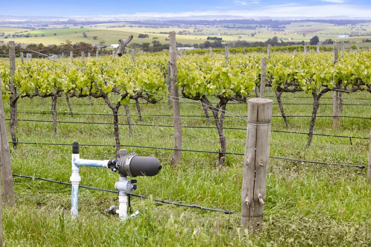 Additional image 10 of Lot 54 Tank Road, Auburn SA 5451