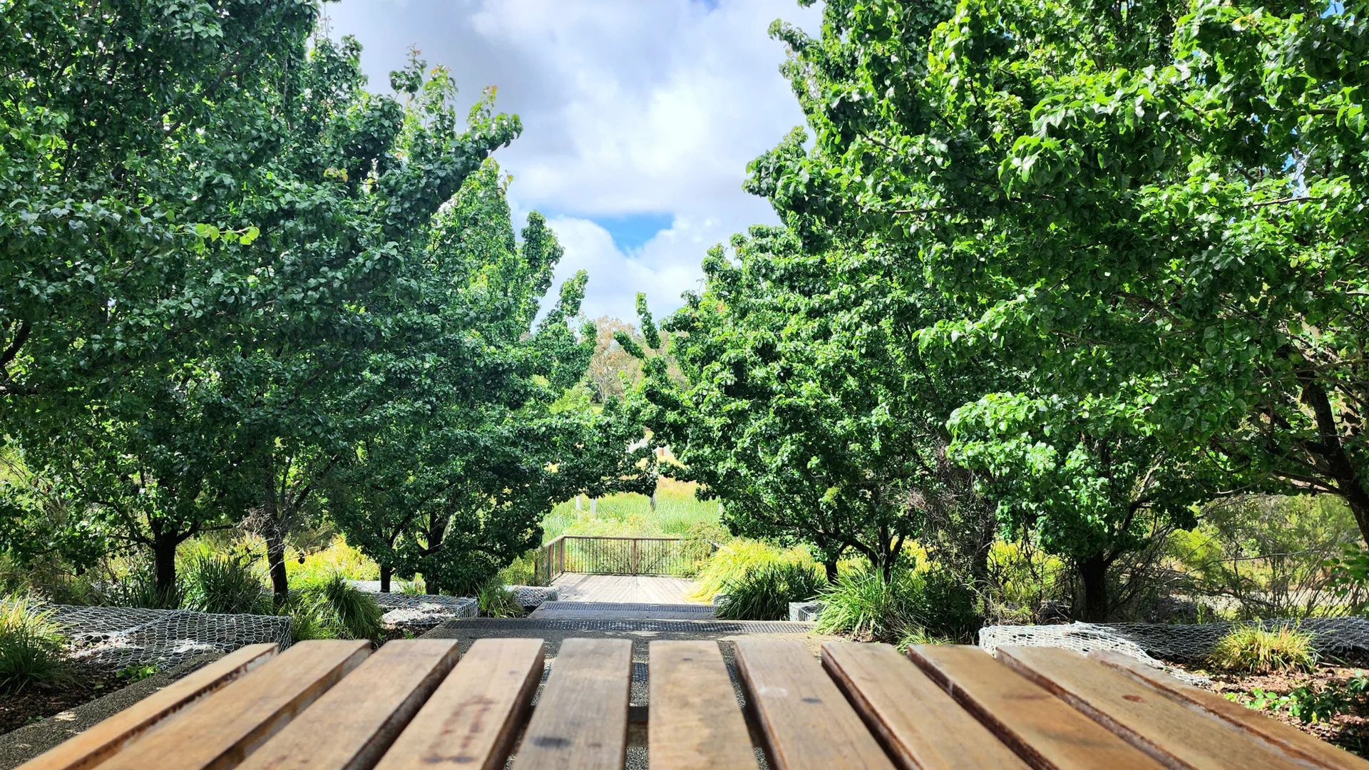 Additional image 11 of 7 Serene Terrace, Drysdale VIC 3222