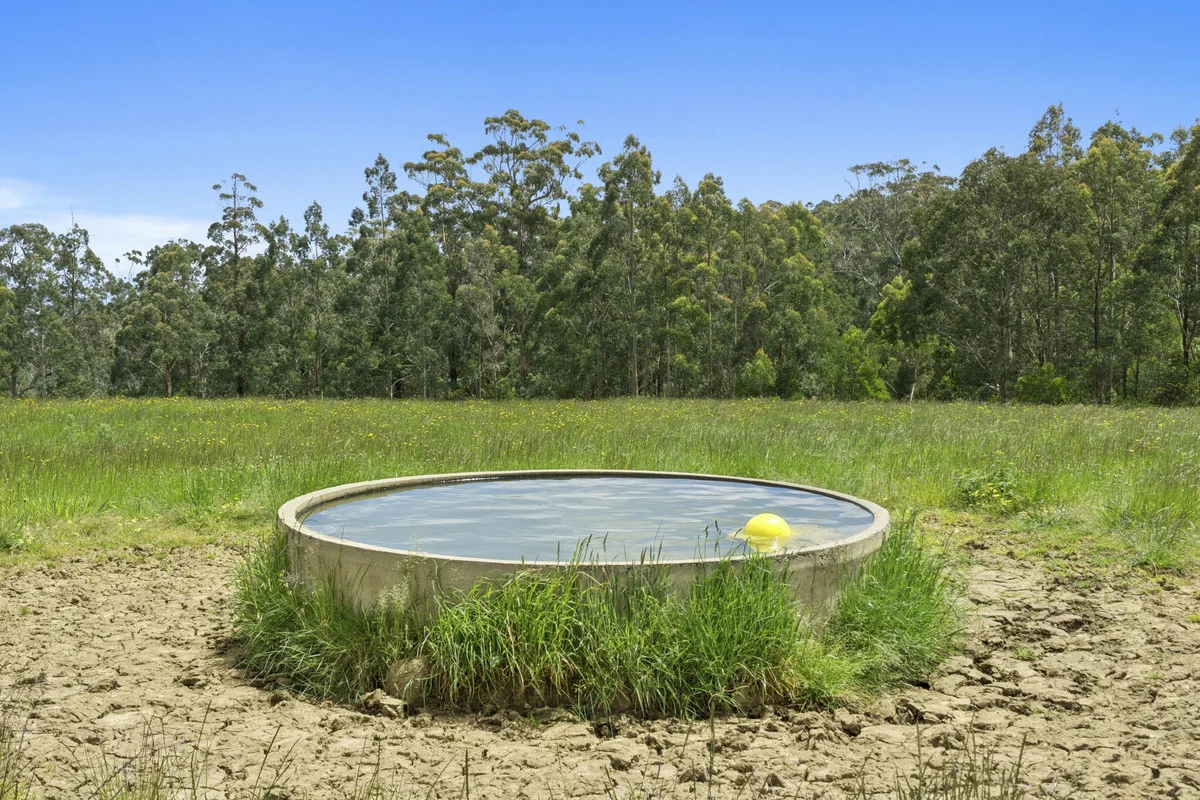 Additional image 12 of 4230 Colac-Lavers Hill Road, Weeaproinah VIC 3237