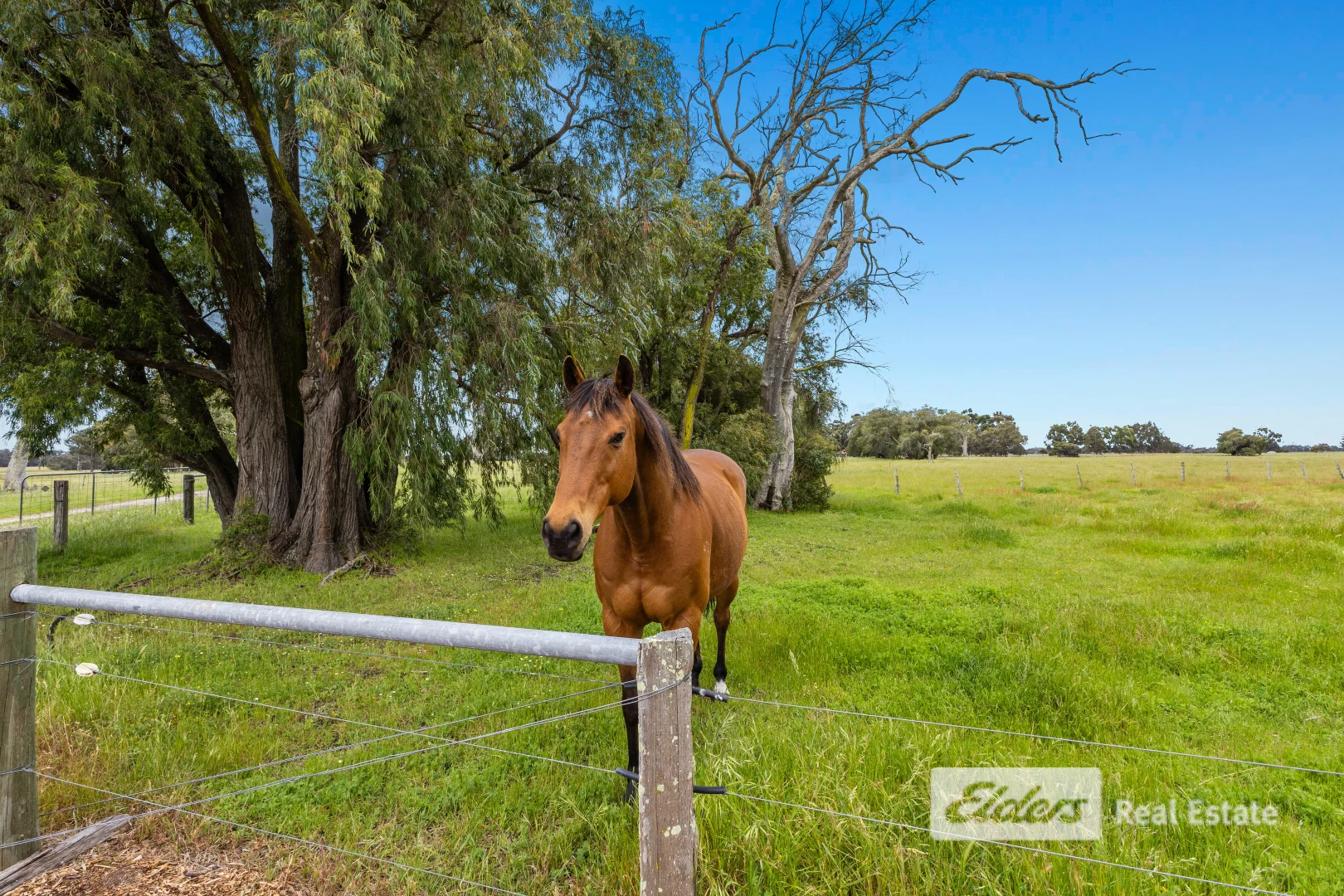 Additional image 25 of 384 Gavins Road, Capel WA 6271