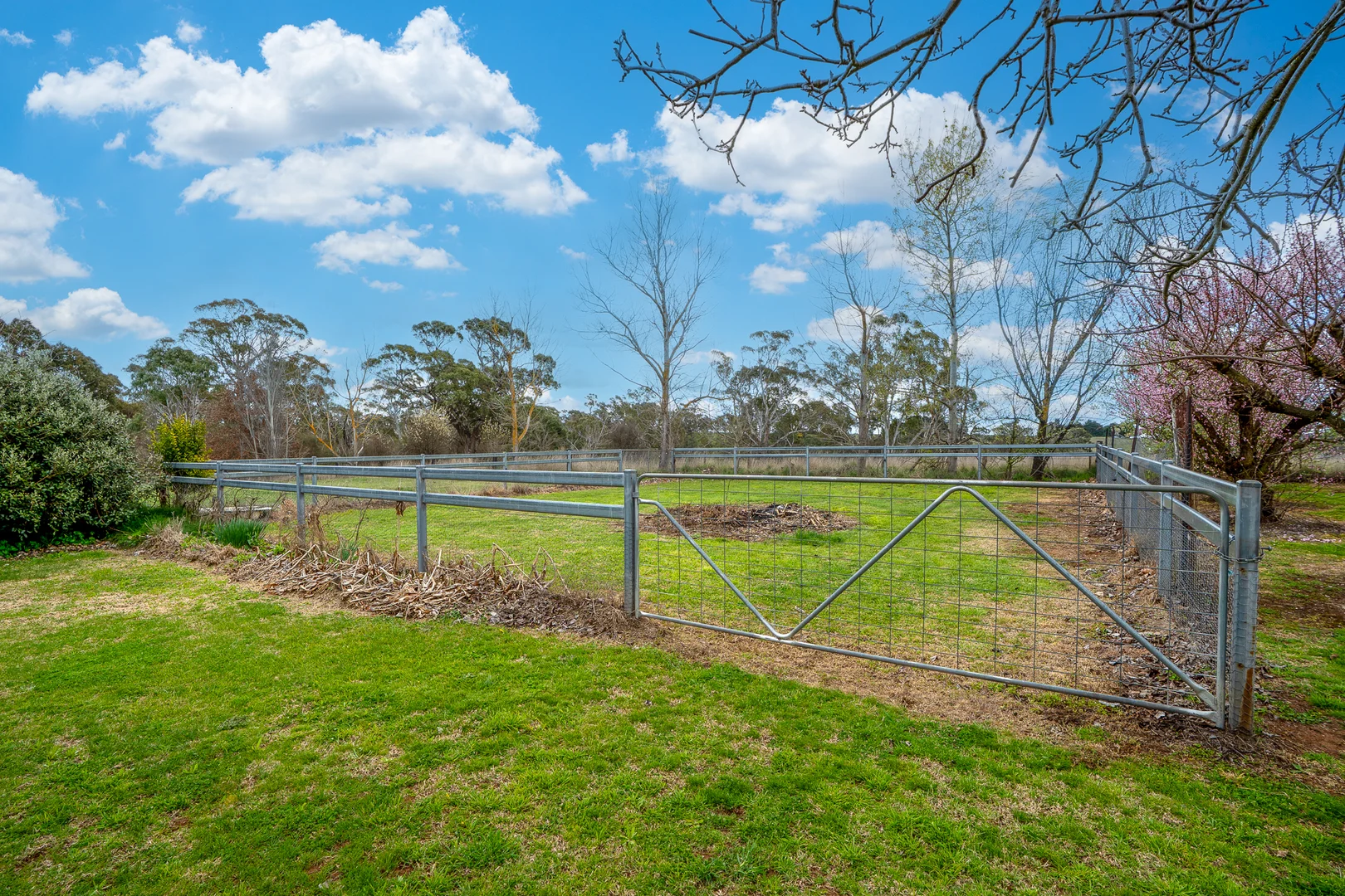 Additional image 10 of 584 Huntley Road, Orange NSW 2800