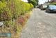 Additional image 19 of Clifton Gardens, Brierley, S72
