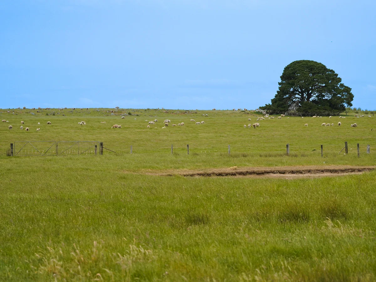 Additional image 5 of Huf's Back Lane, Warrayure VIC 3301