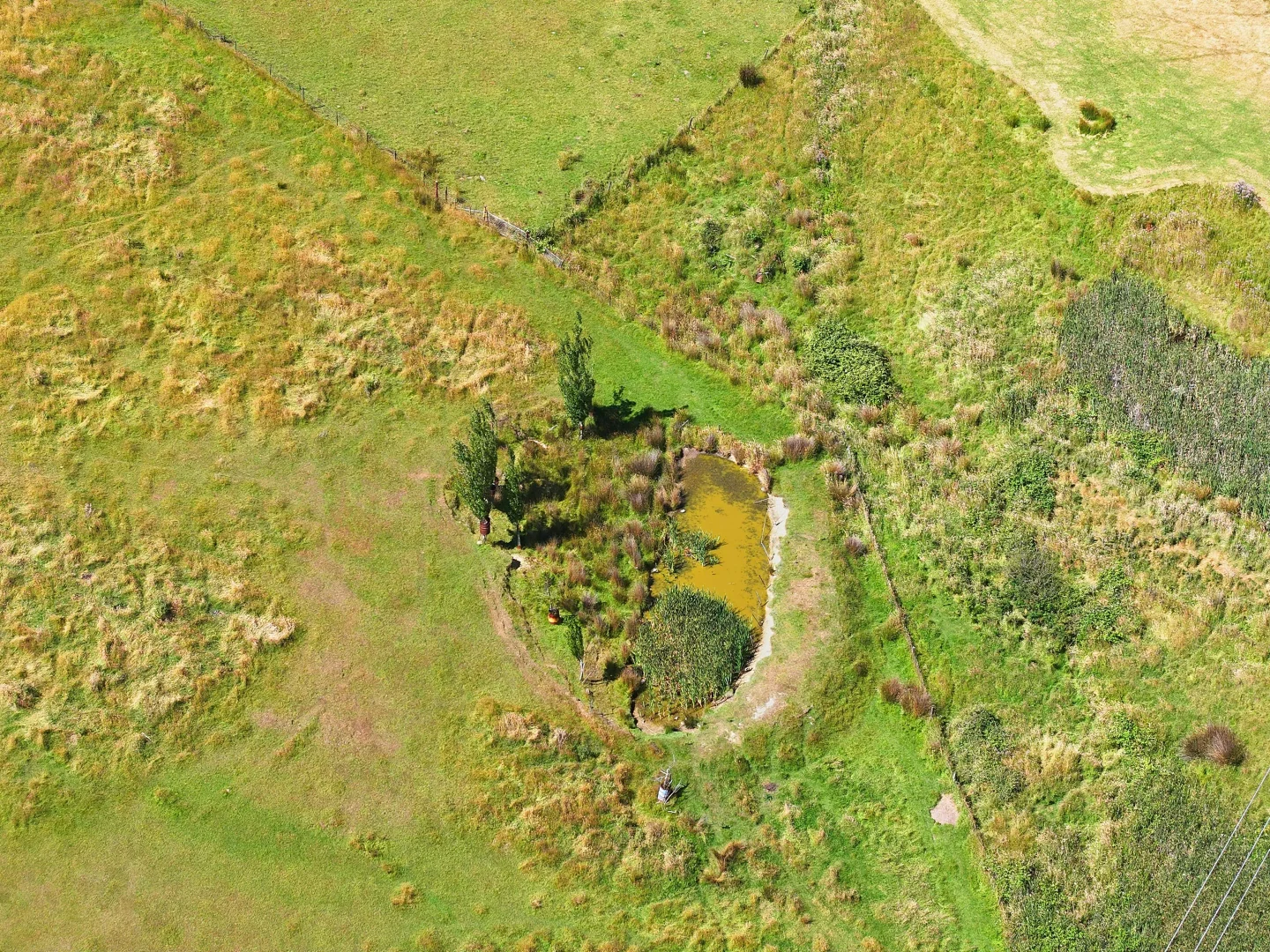 Additional image 24 of 5 Hellessey Road, Collinsvale TAS 7012