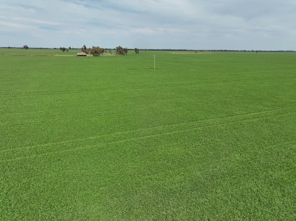 Additional image 7 of 849 Brushwood North Rd, Coolamon NSW 2701