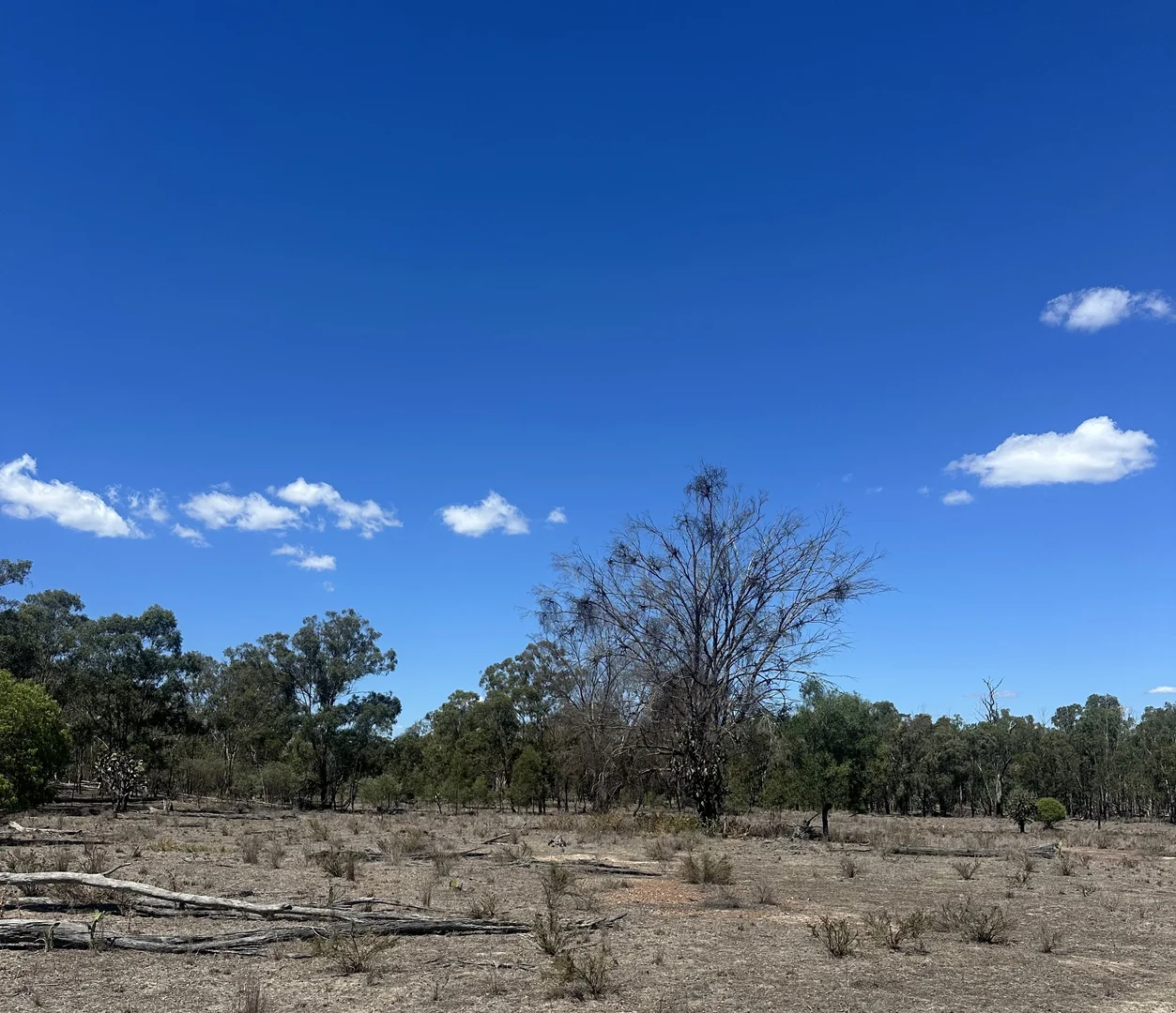 Additional image 9 of Mosquito Creek Road, Inglewood QLD 4387