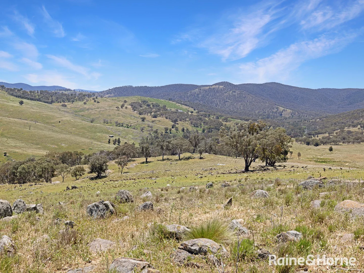 Additional image 9 of 1988 Freemantle Road, Milkers Flat NSW 2795
