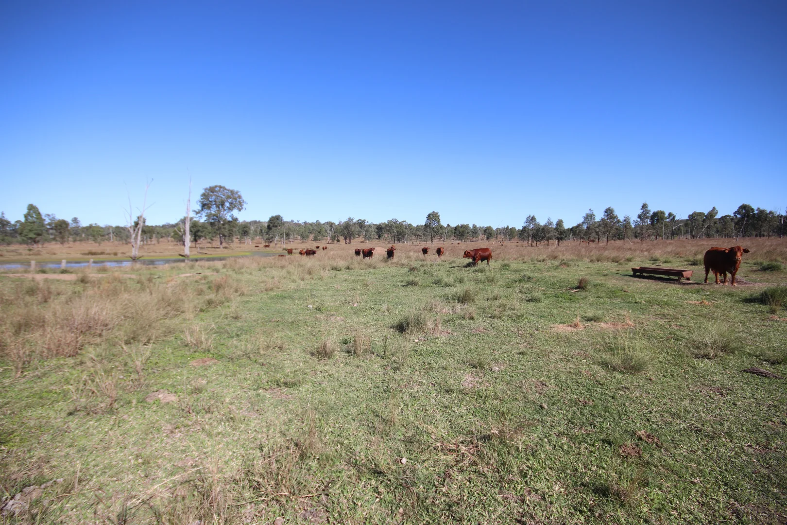 Additional image 7 of 8 Screening Plant Road, Cynthia, Eidsvold QLD 4627