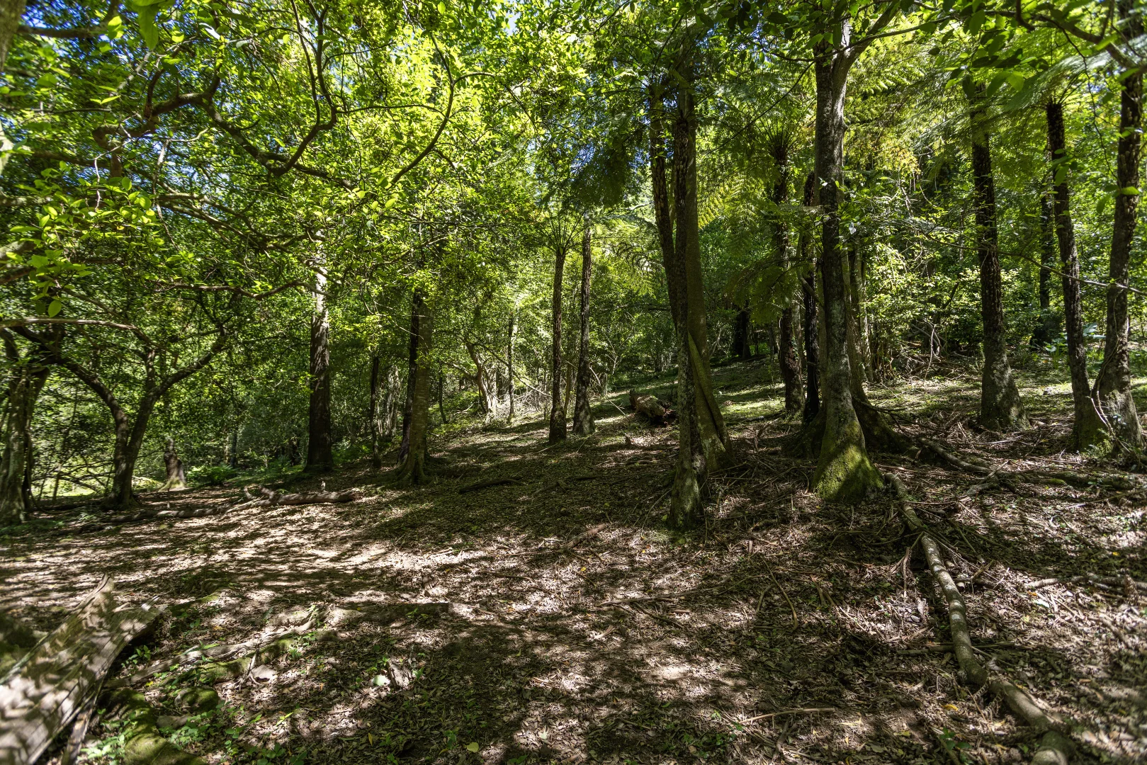 Additional image 15 of 'Franks Farm' Lots 127-129 Free Selectors Road, Foxground NSW 2534