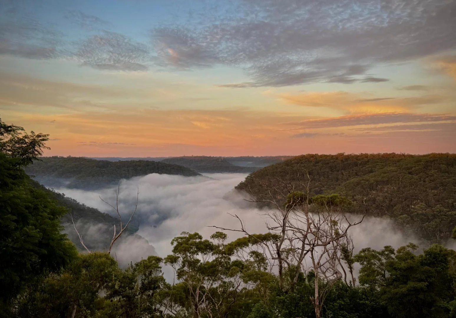 Additional image 15 of 79 Wyanna Street, Berowra Heights NSW 2082