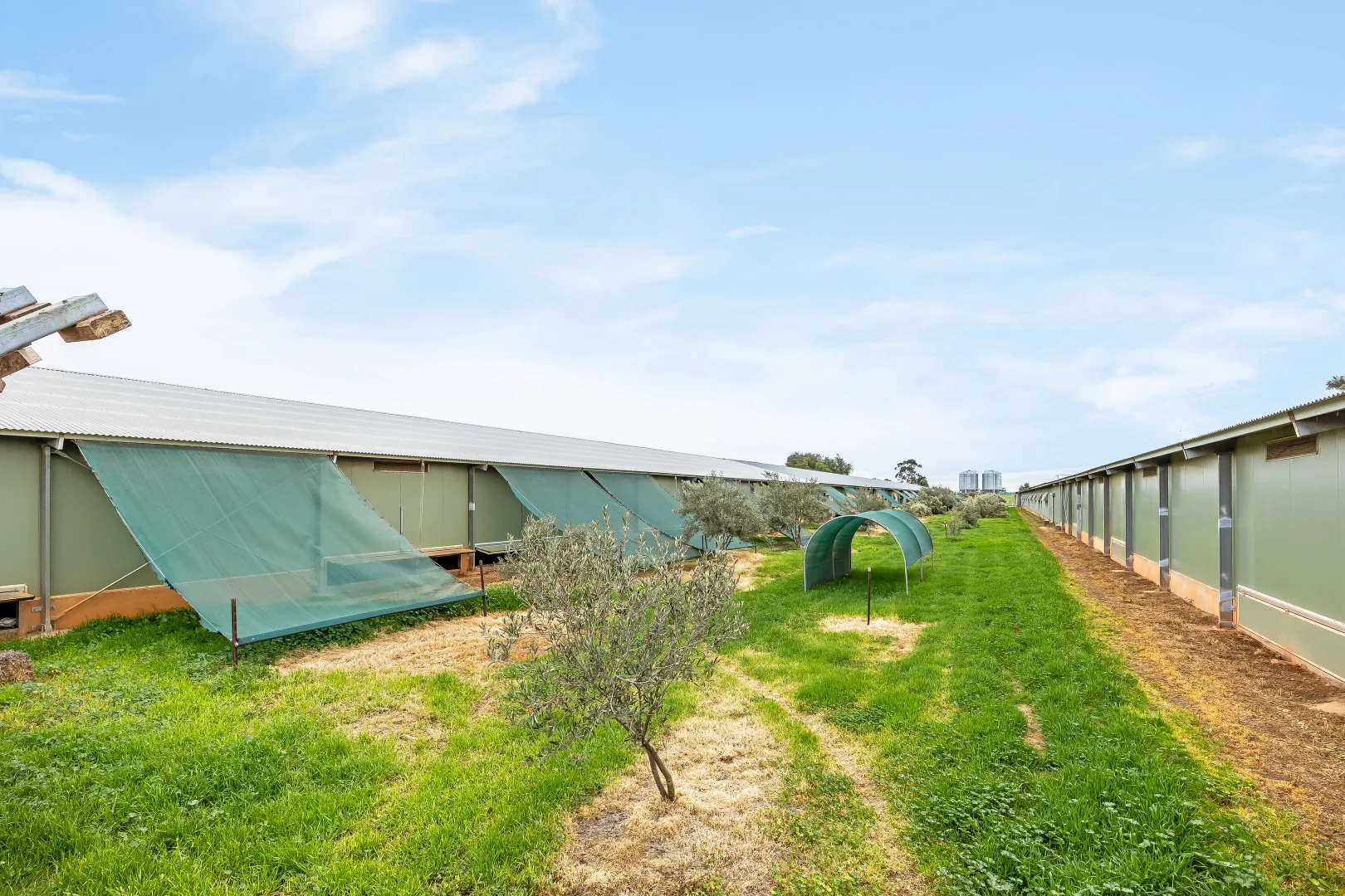 Additional image 15 of 85 Wandel Road, Owen SA 5460