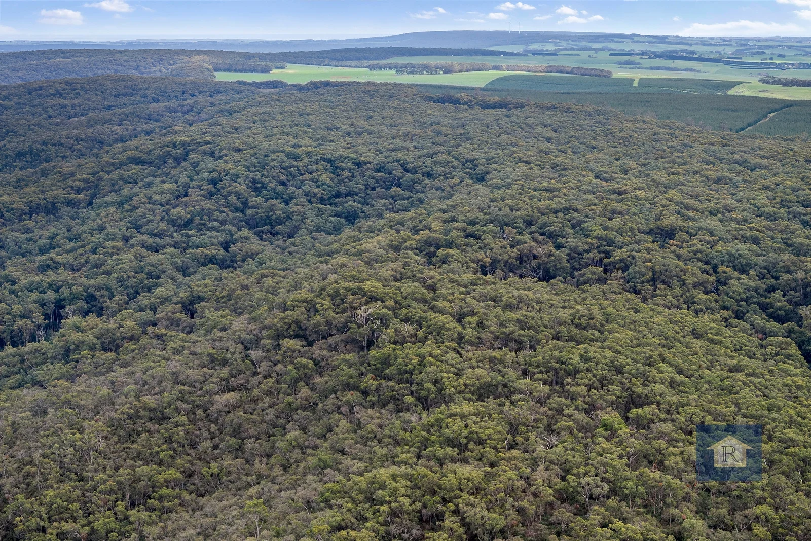 Additional image 10 of 845 Pipeline Road, Carlisle River VIC 3239